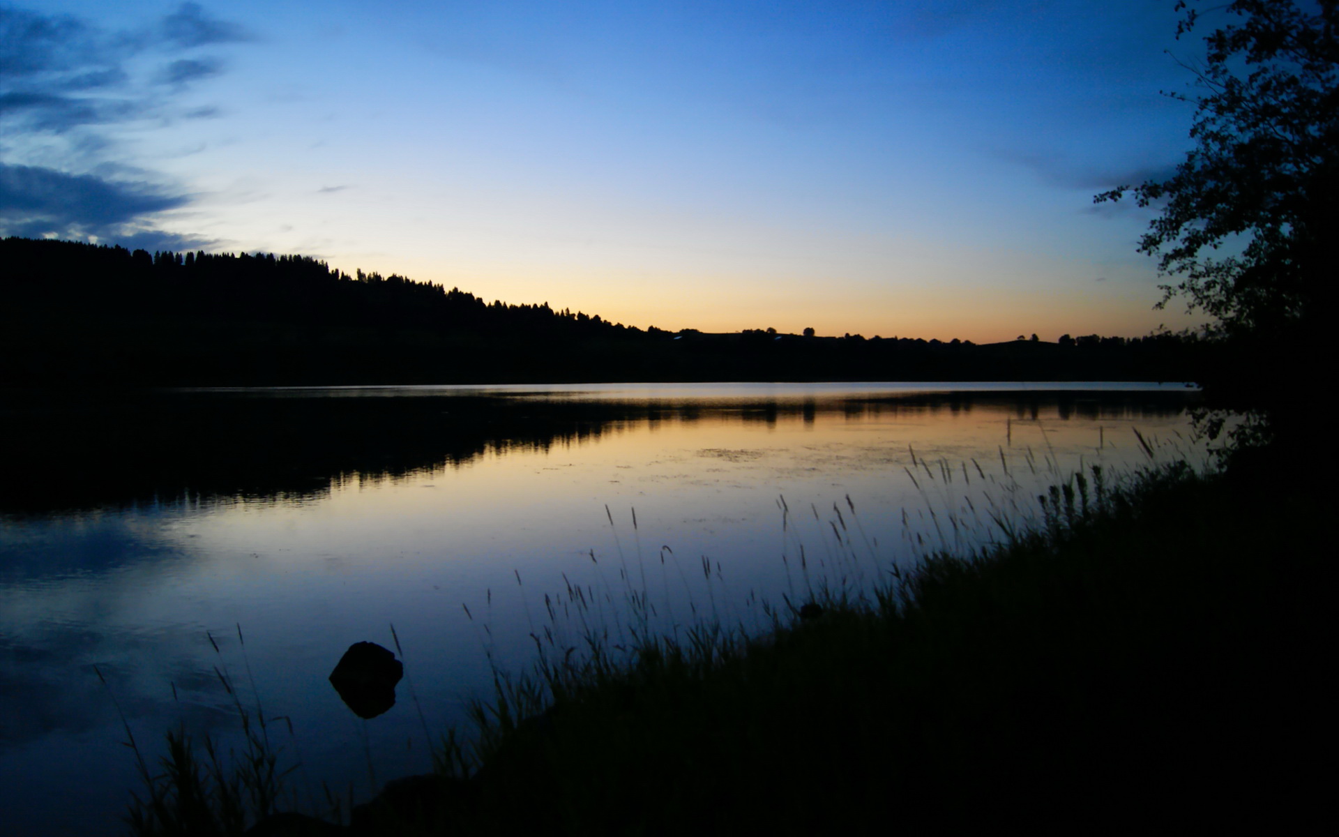 849.新规则、新科技：联盟变革带来的新机遇与挑战，新型联盟