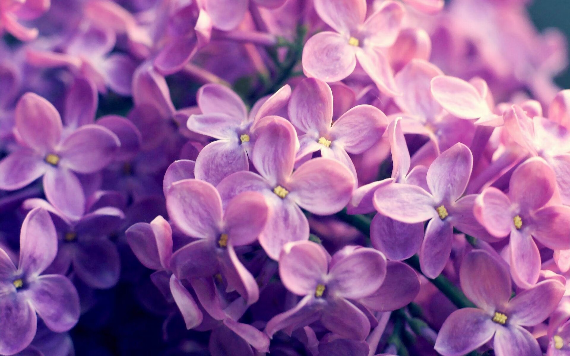 爱游戏官方-2030年F1：电动化还会远吗？，2030年电动汽车会取代燃油车吗