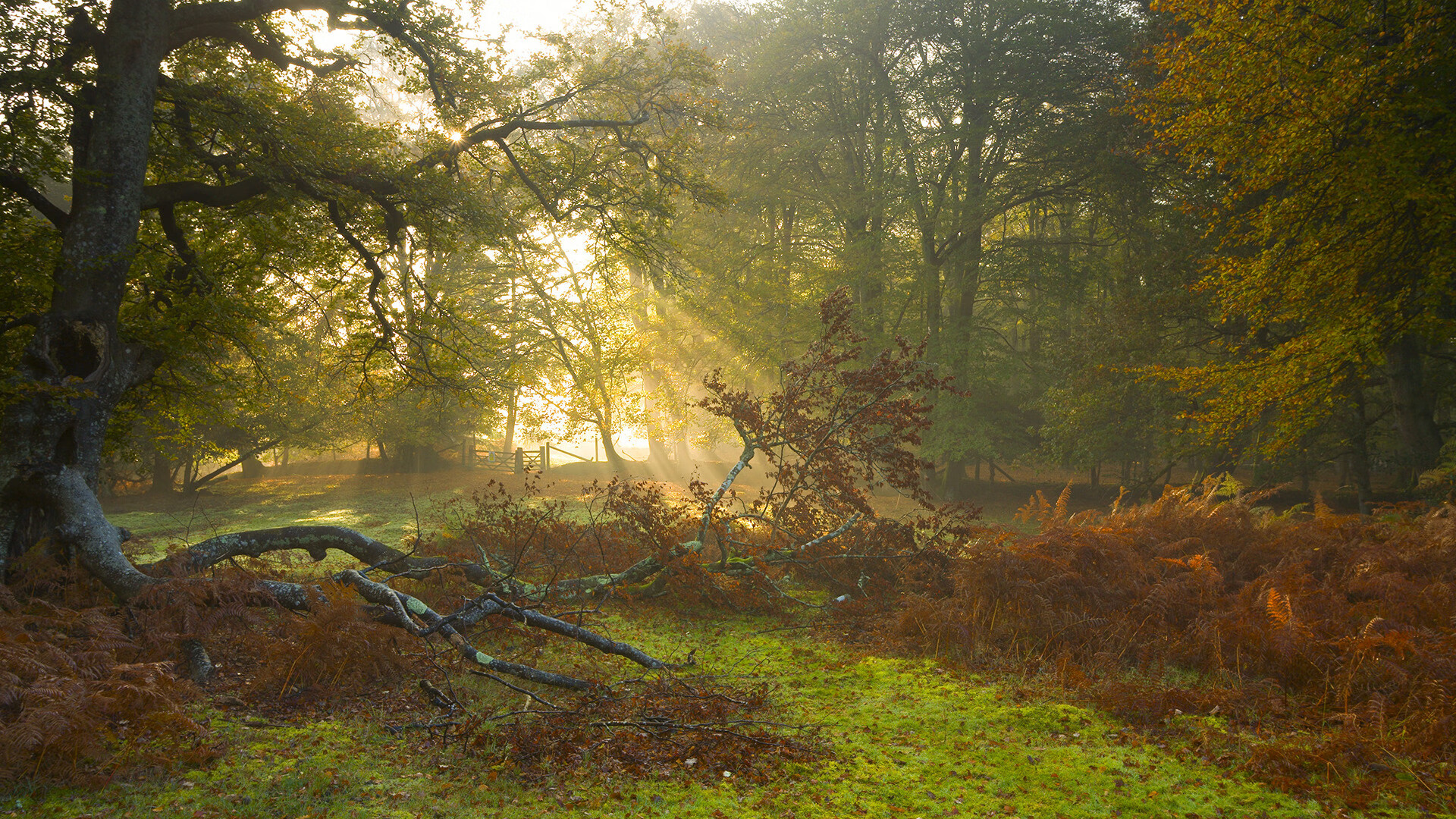 NBA全明星技巧赛:新秀组合技惊四座,nba全明星技巧赛录像