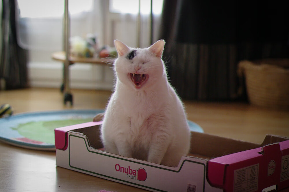 《电竞场馆布局,全国范围内百余场馆开始建造》,电竞场馆是干嘛的