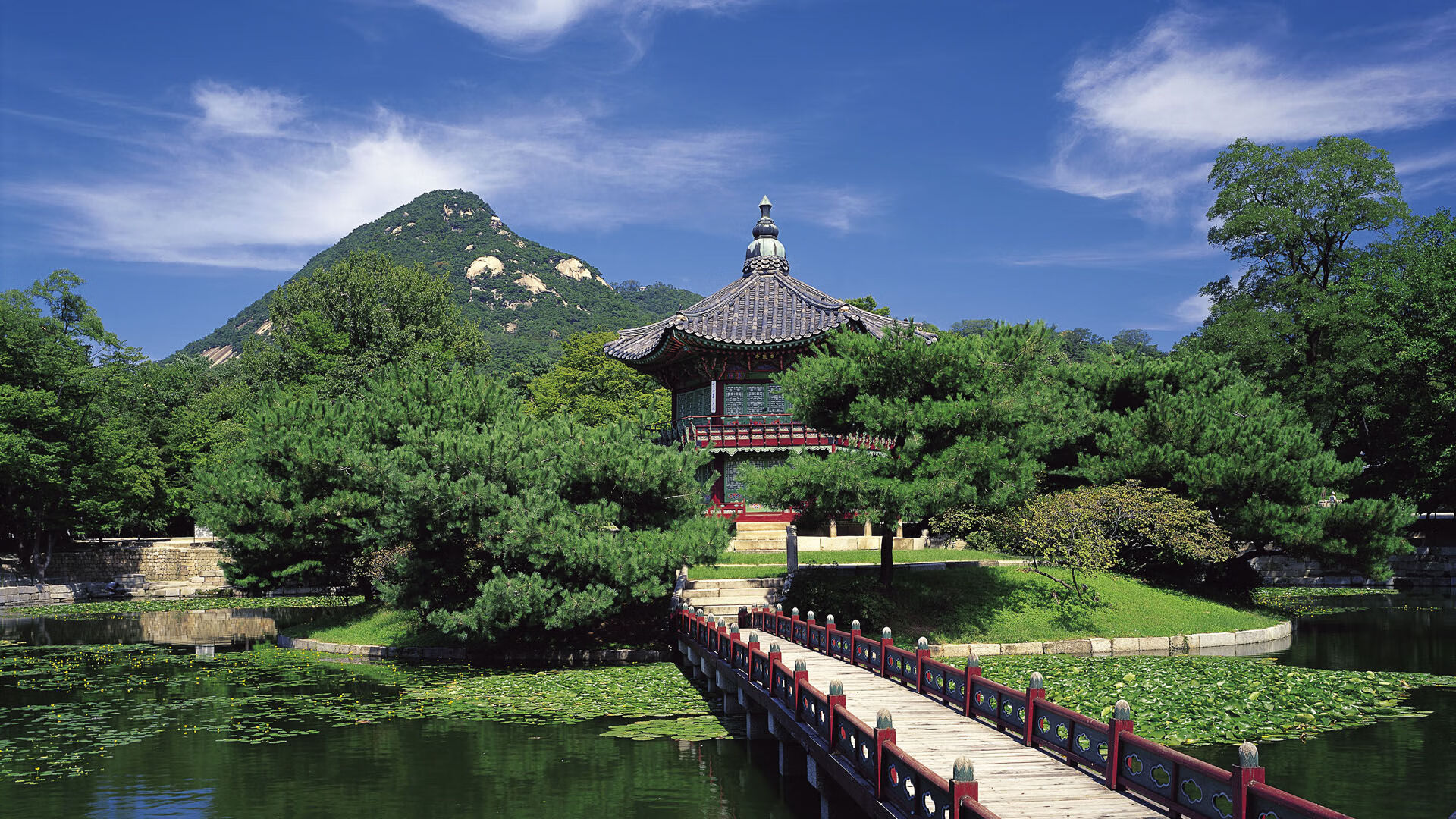 爱游戏在线登录入口-大型国际赛场馆升级，设备更先进，国际赛事中比赛场地的尺寸大小是多少