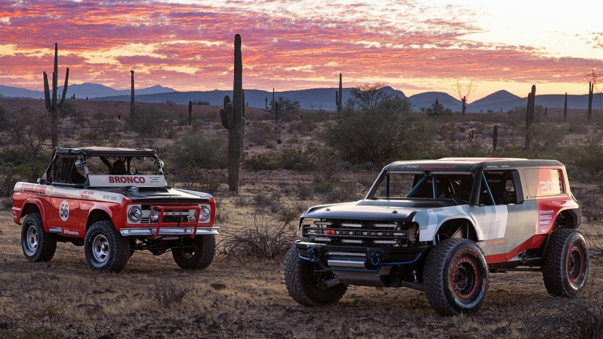 大型国际赛场馆升级,设备更先进,国际赛事中比赛场地的尺寸大小是多少