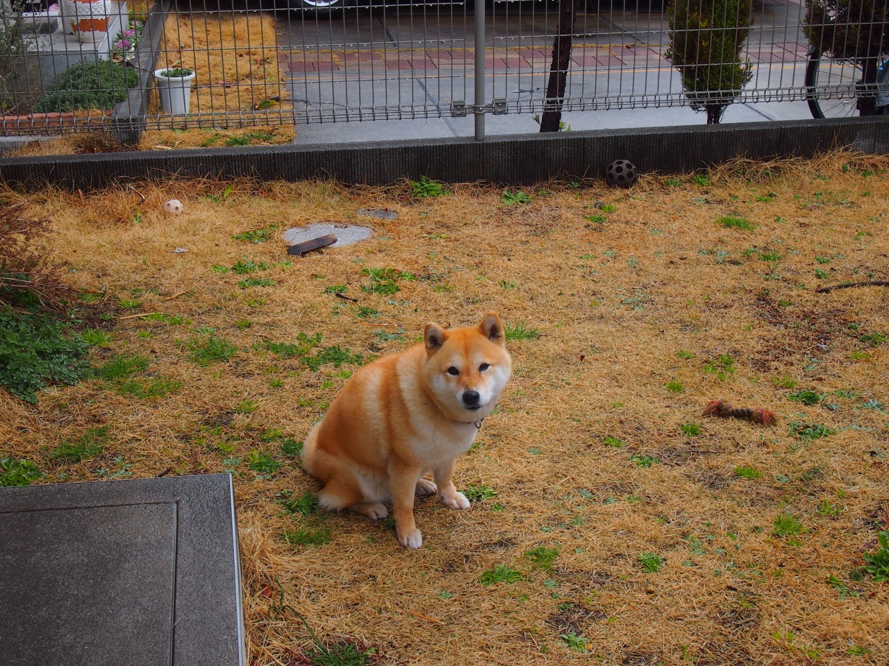 爱游戏登录入口-拜仁持续高歌猛进，稳居榜首，拜仁拜仁