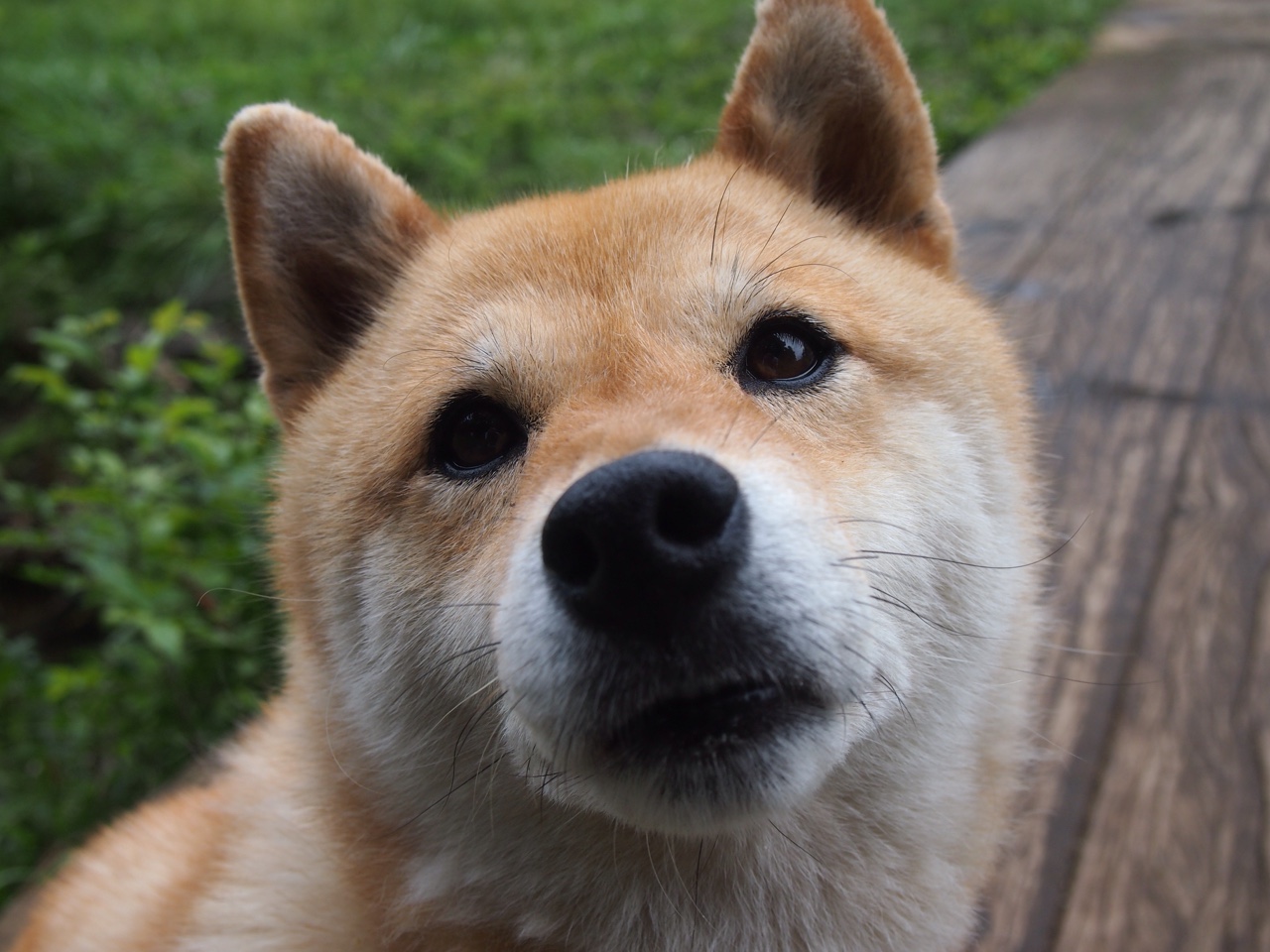 爱游戏-青少年全民“篮球日”系列活动在成都火热展开，青少年篮球队名单