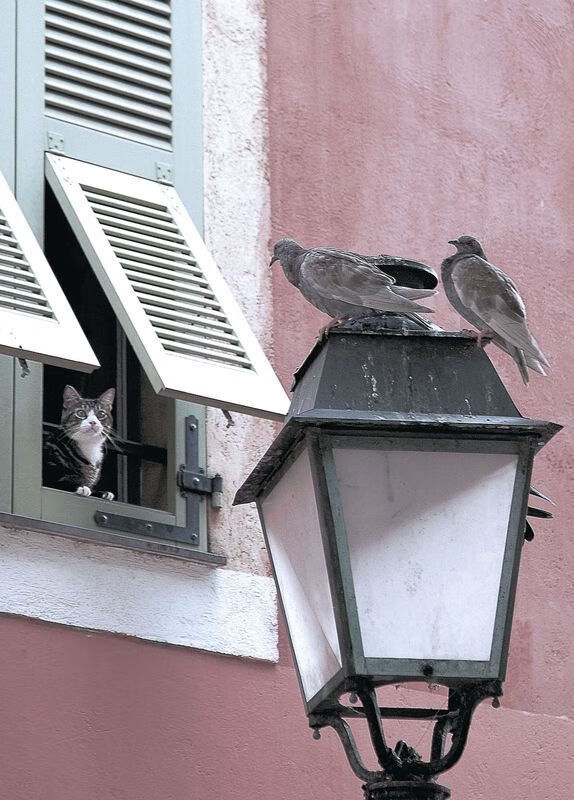 JDG加强战术复盘与体能训练融合