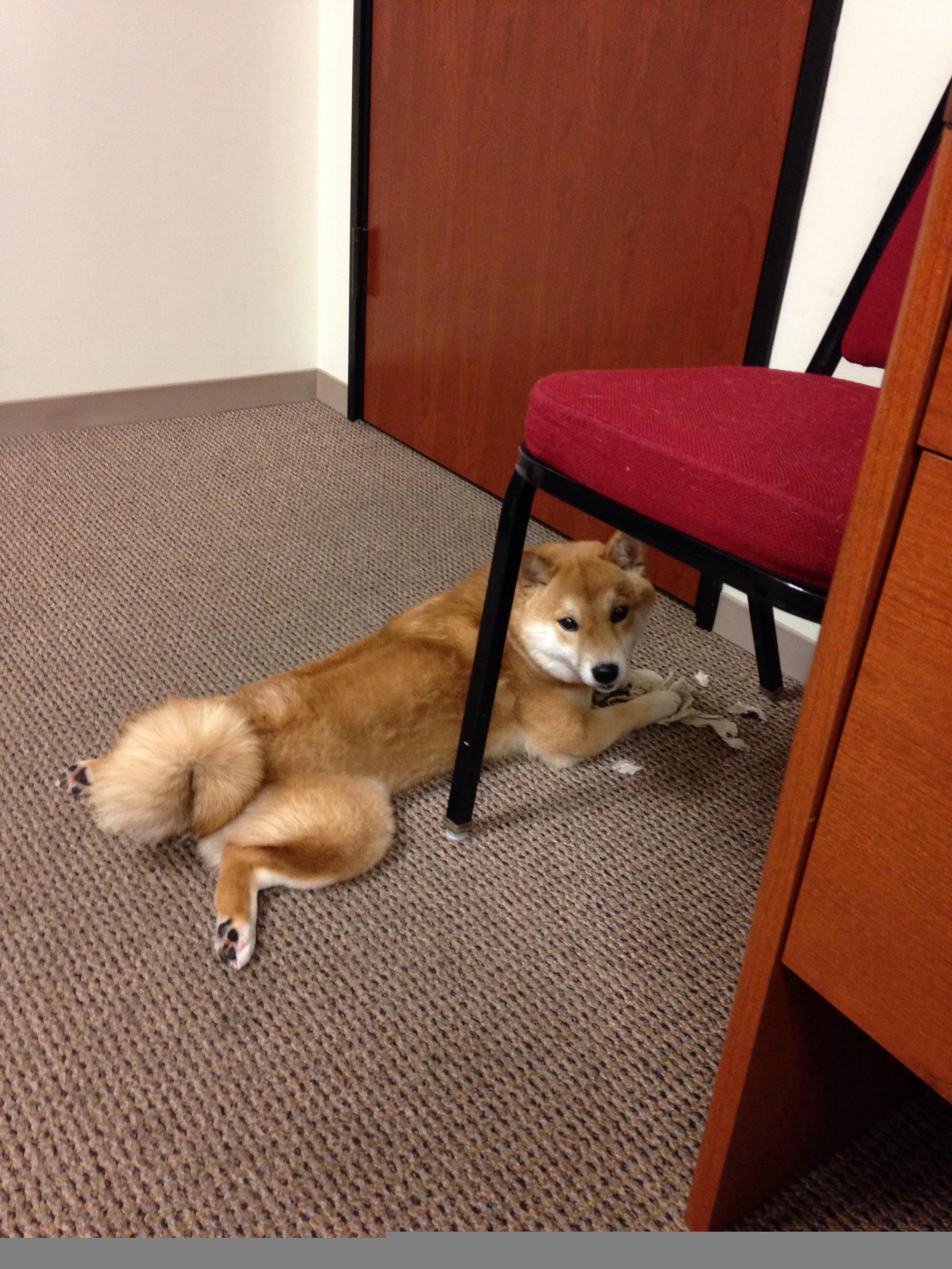 爱游戏在线登录入口-塞维利亚主场2-0战胜赫塔费，继续领跑西甲积分榜，塞维利亚算西甲强队吗