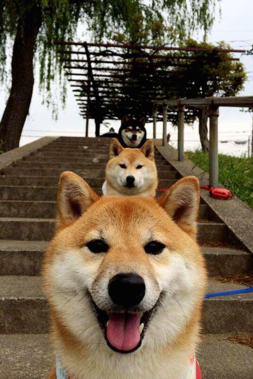 爱游戏体育app-尤文图斯球员克里斯蒂亚诺·罗纳尔多被评为最有价值球员，尤文图斯的克罗地亚前锋