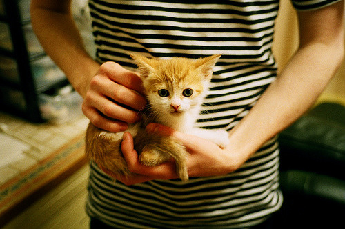 爱游戏官网-斯科达重申意大利梦想，那不勒斯新援展现决心，那不勒斯与莫斯科斯巴达