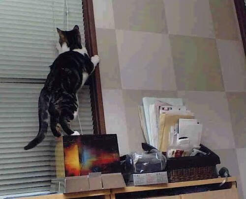 曼城客负亚特兰大，遗憾无缘半决赛，曼城对亚特兰大比分