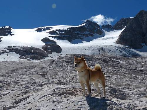 爱游戏-激情燃烧：灰熊与狂热的争夺将打出精彩，熊熊燃烧的激情