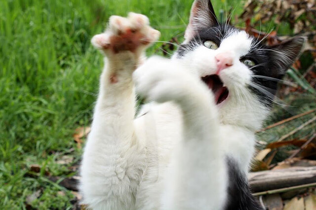 电竞城市举办大型电竞嘉年华活动，电竞嘉年华策划方案