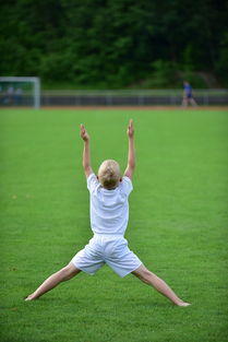 爱游戏官方网站-高校运动训练计划动态调整机制研究，运动训练调控