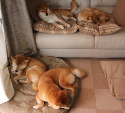 爱游戏官方-“舞动人生！运动舞蹈让金牛区城北体育馆成为舞者展示实力的绝佳舞台”