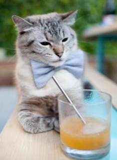 爱游戏登录入口-亚洲杯中国女足晋级 球员默契配合提升，中国女足亚洲杯季军