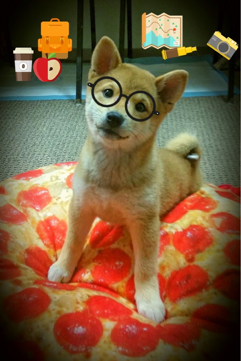 爱游戏中国官方网站平台-全国田径新人赛展现青少年爆发力与潜力，新田径竞赛规则与裁判方法