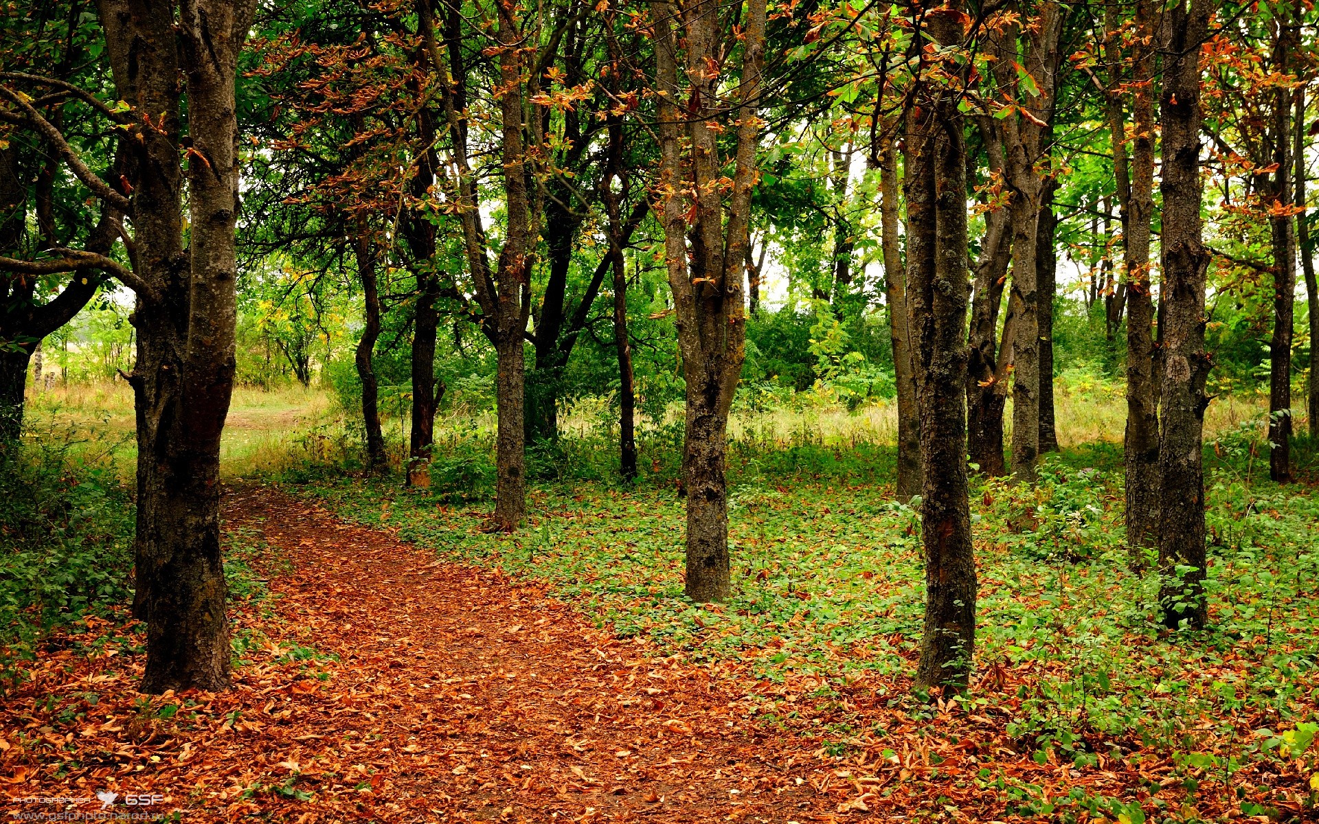 奥预赛中国队战平 球迷呼吁战术升级,奥预赛赛程