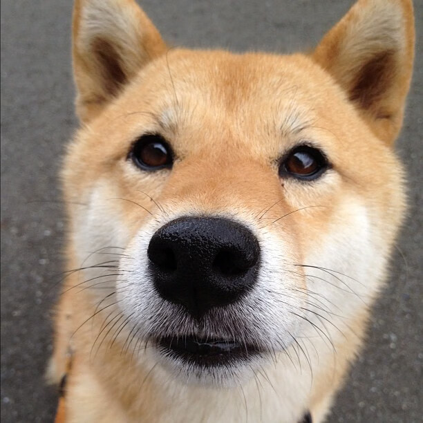 勇士召开赛前动员会议强调团队合作,勇士队揭幕战