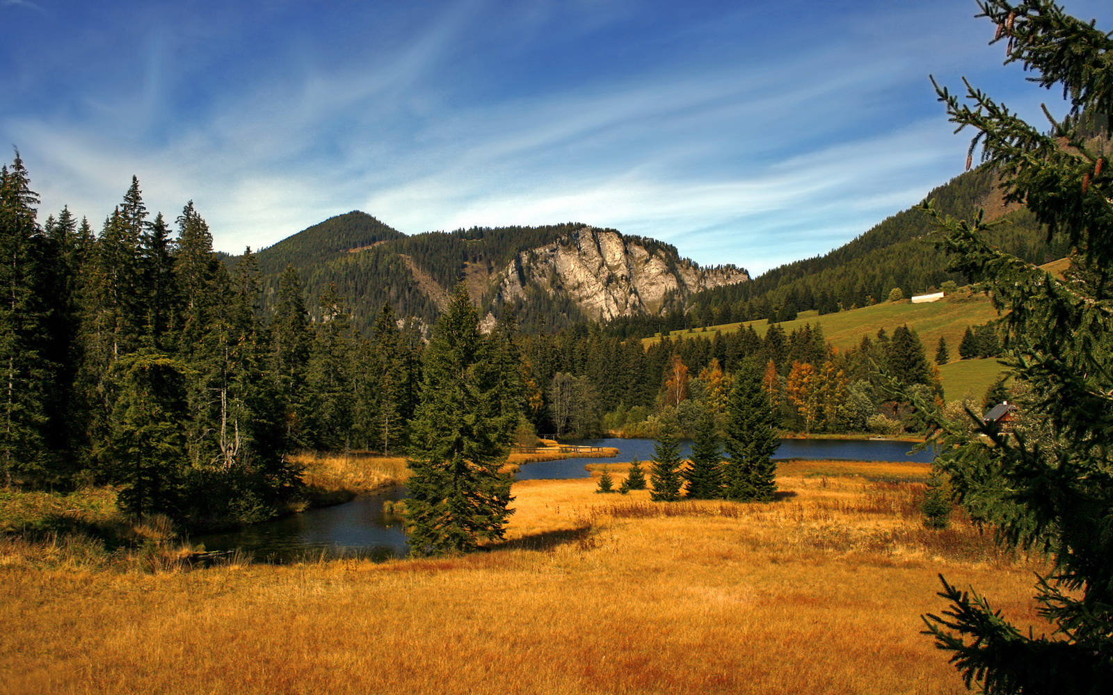 女子篮球发展联盟设立推动联赛规范化建设,女子篮球组织