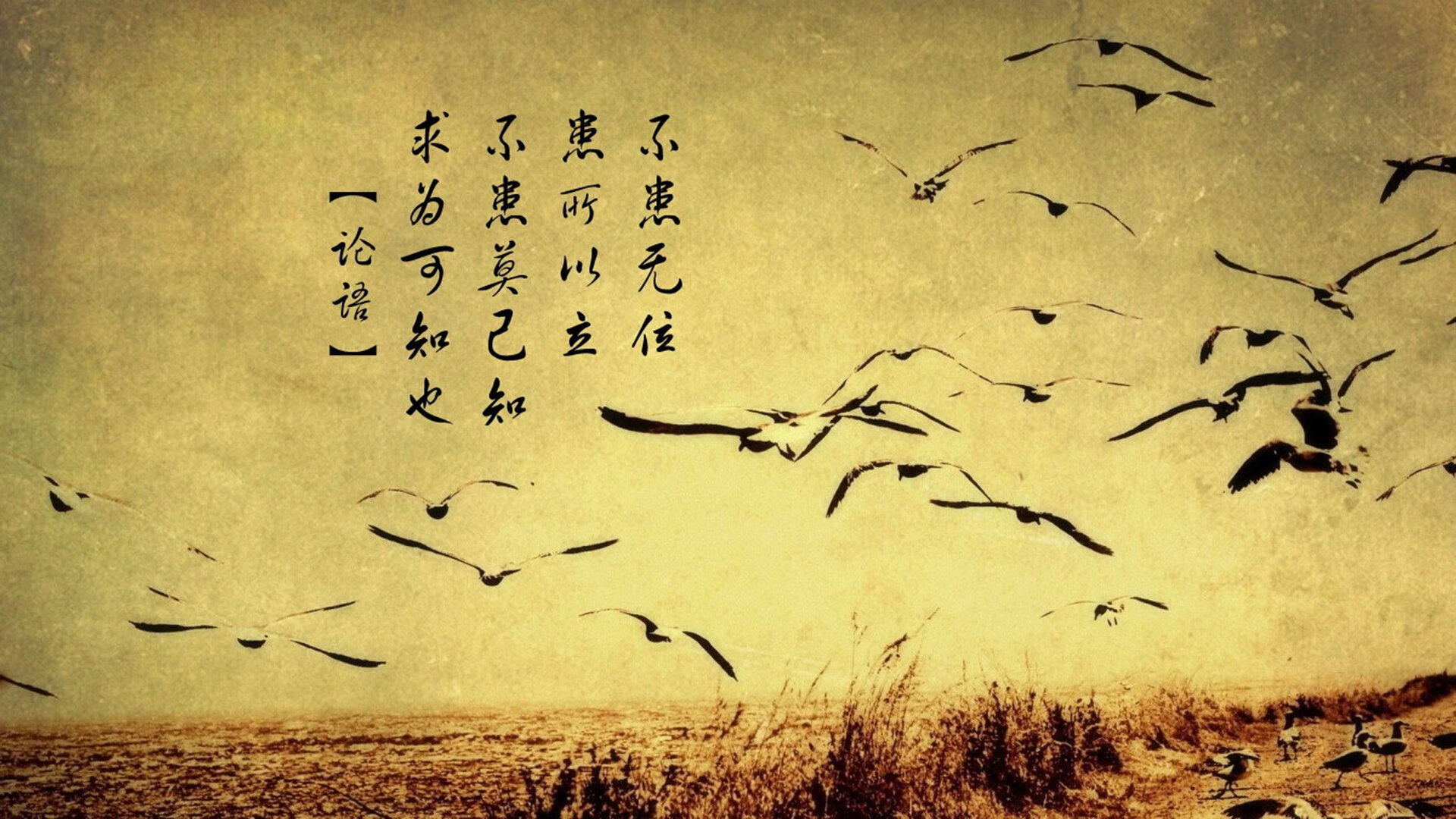 弗朗索瓦·霍尔茨豪伊泽：他的战术视野和执行力让南非队攻防两端稳如磐石