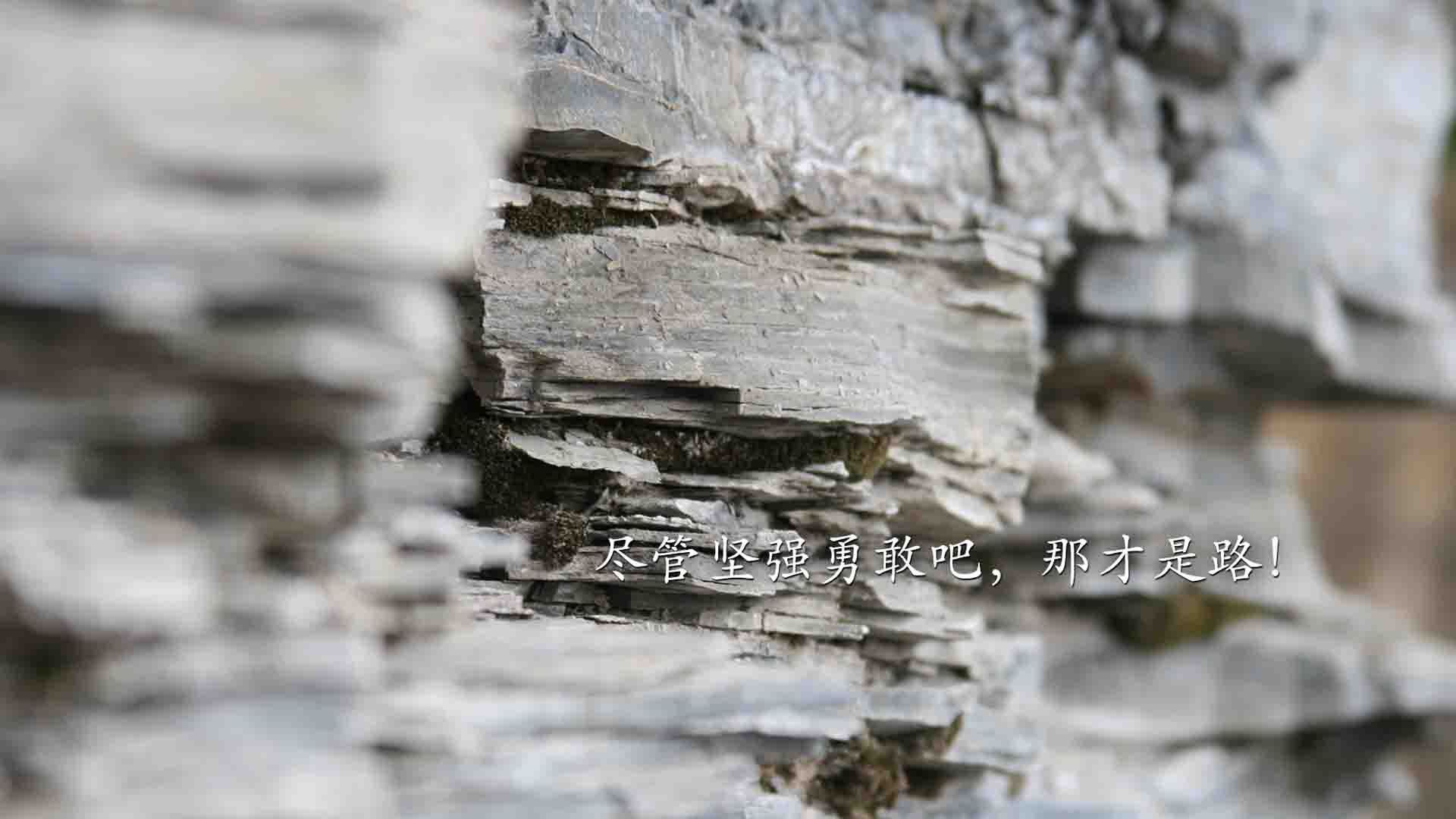 篮网利用错位进攻建立前期优势,篮网被针对