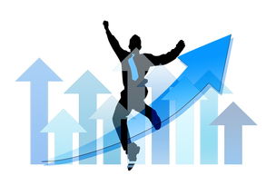 爱游戏大厅-中国篮球职业俱乐部财务风险管理实践，篮球俱乐部经营与管理