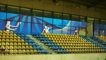 爱游戏在线-高校体育赛事安全管理体系构建，学校体育赛事体系